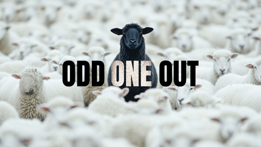 Odd One Out