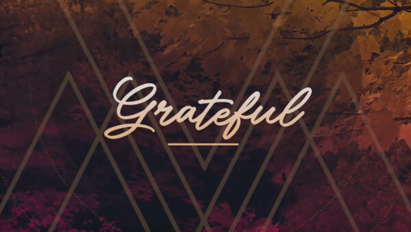 The Gratitude Paradox Image